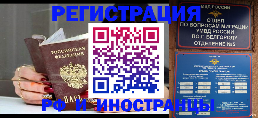 прописка в Новом Осколе